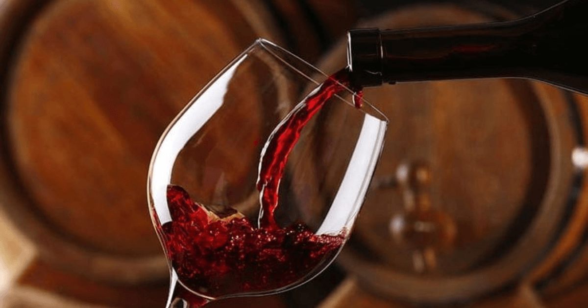 Il Nettuno Wine Festival, una giornata all'insegna del vino e del divertimento