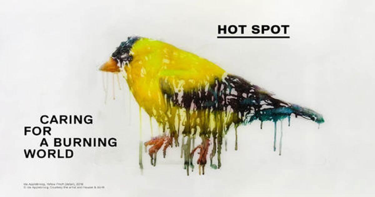 Hot Spot, a Roma la mostra che cerca di sensibilizzare sul disastro ambientale